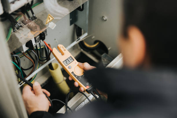 Best Ceiling Fan Installation Electrician  in Dunnigan, CA